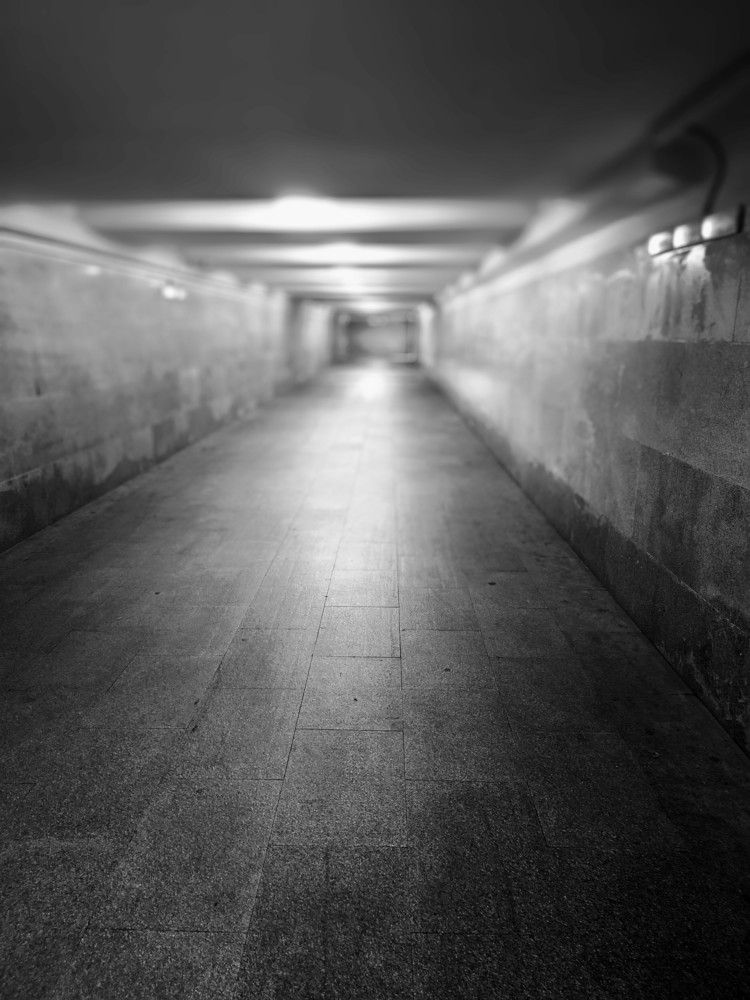Photograph by Алексей Карчевский