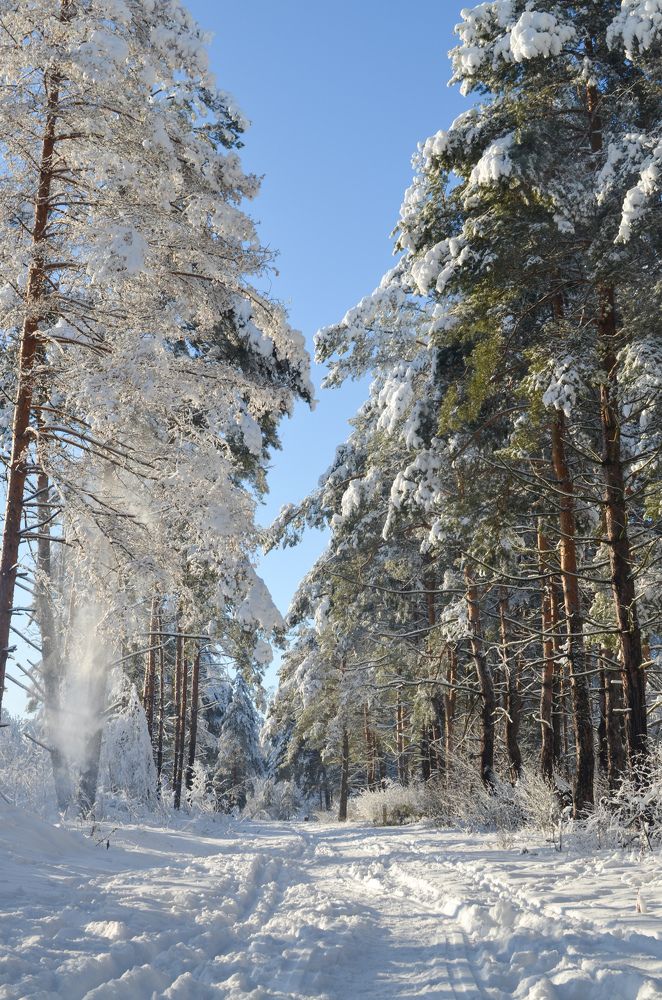 Photograph by Скоблина Юлия