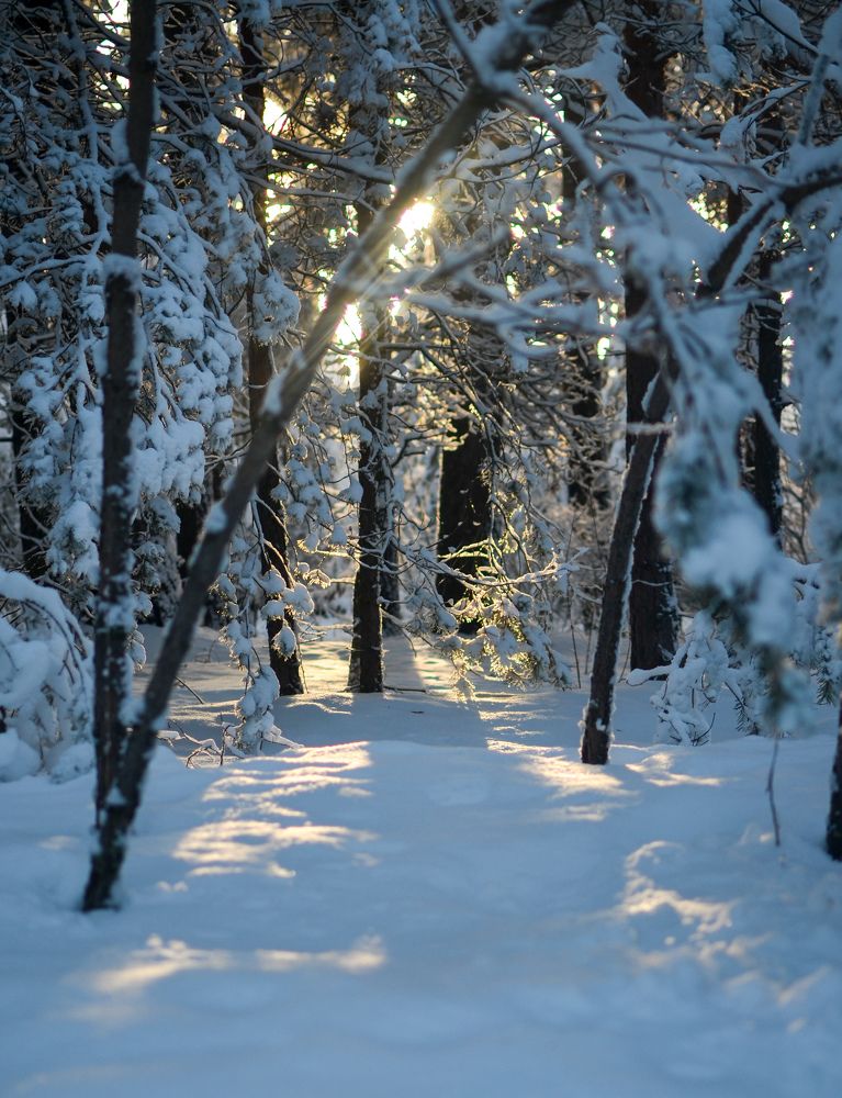 Photograph by Скоблина Юлия