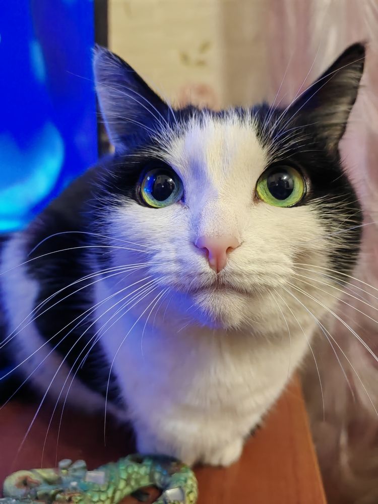 Photograph by Андрей Золин