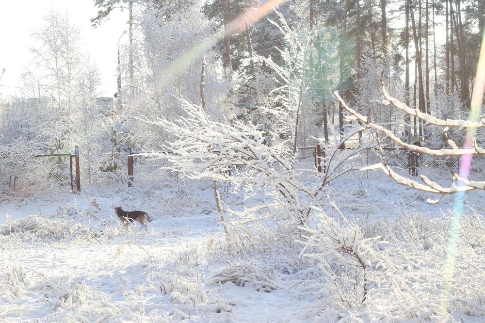 Photograph by АЛЛА ТАРАСЕНКО