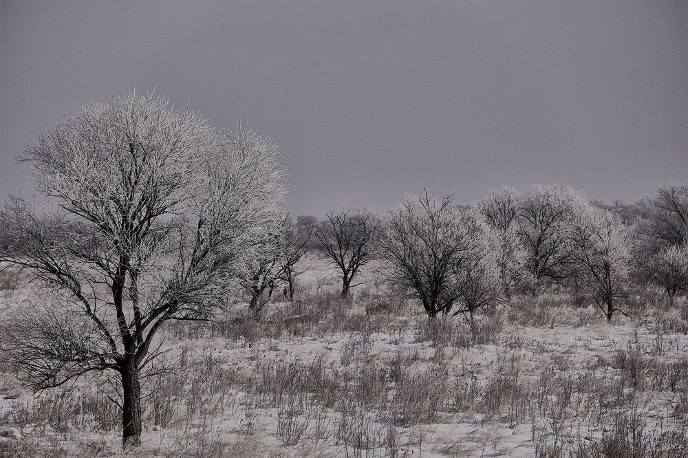 Фотография автора Наталия Мащенко