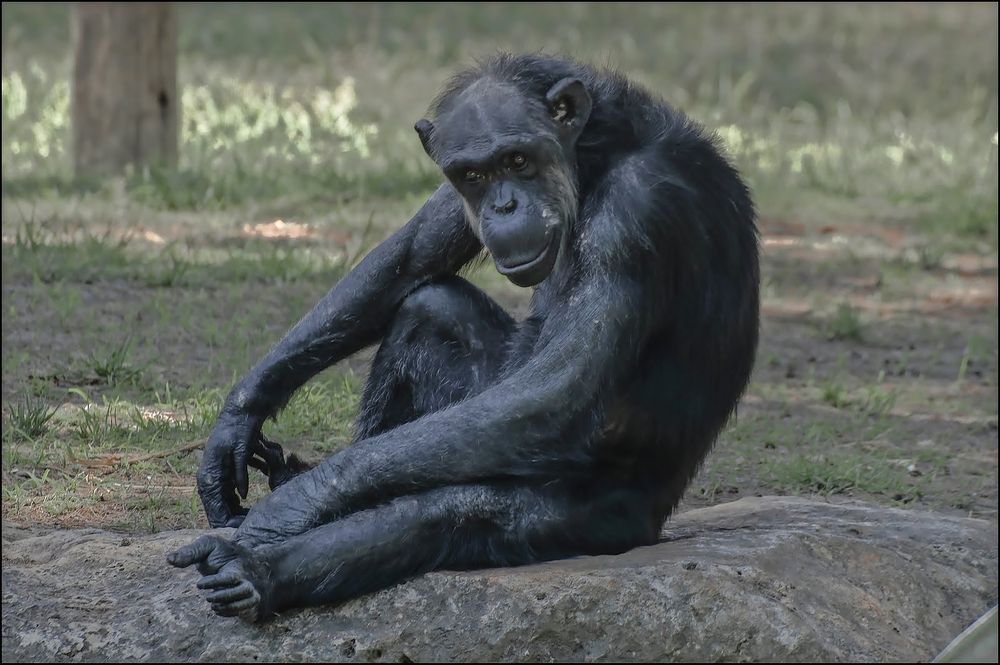 Photograph by Владислав Айзенберг