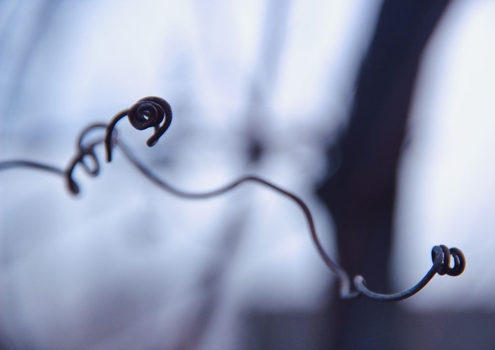 Photograph by Юлия Сушко