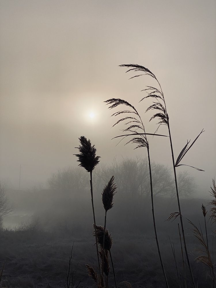 Photograph by Юлия Сушко