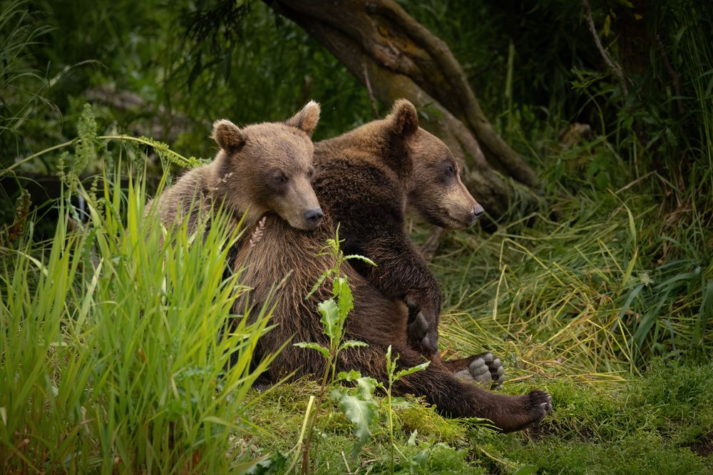 Photograph by Галина Павлова