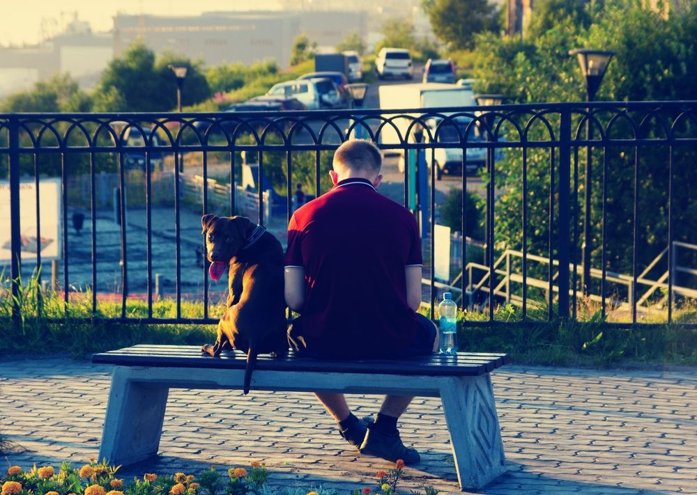 Photograph by Елена