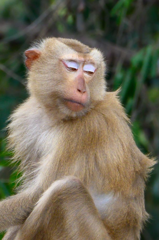 Photograph by Вячеслав Белов