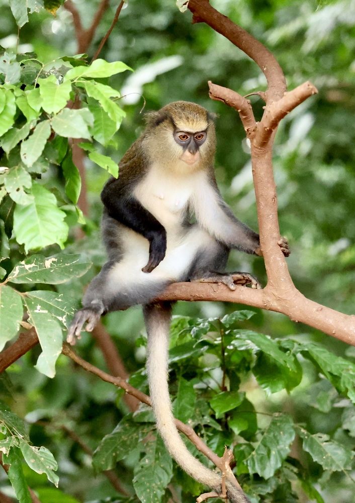 Фотография автора Леонид Голубков