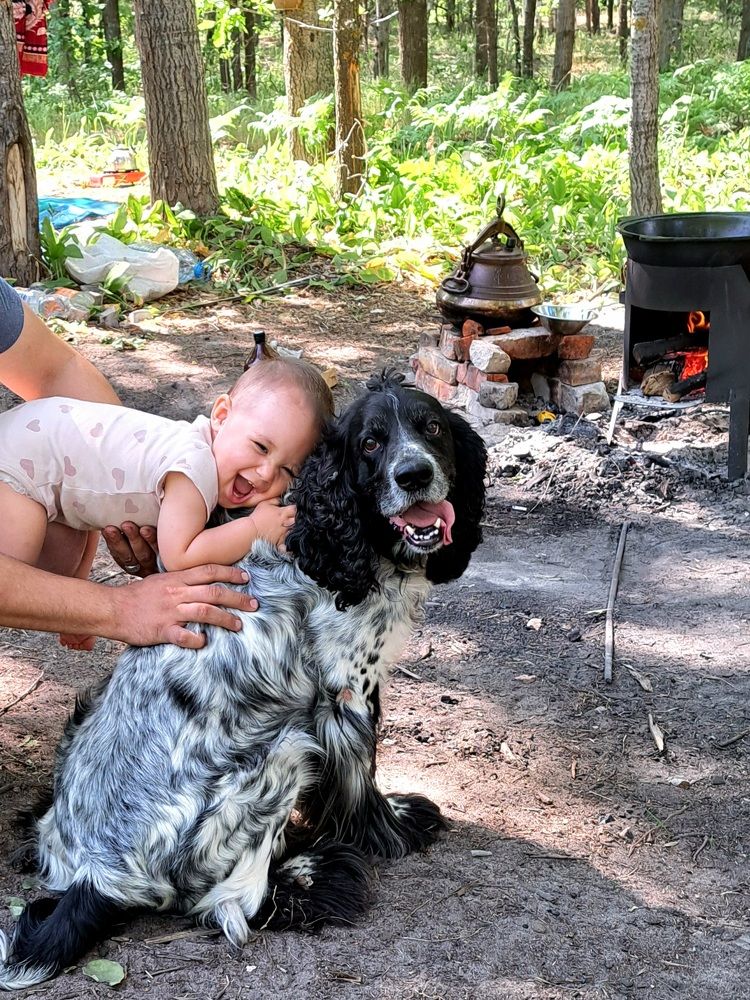 Photograph by Елена Ибрагимова