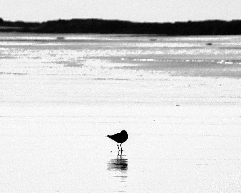 Фотография автора Aleksei Kartashov