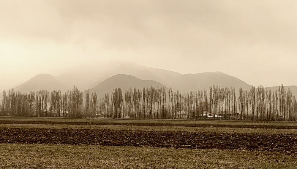 Photograph by Низовцева Елена