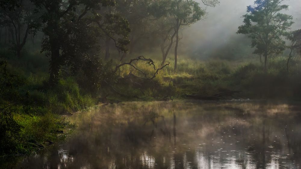 Photograph by Venkat Mangudi