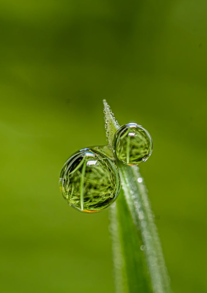 Photograph by Елена Шарапова