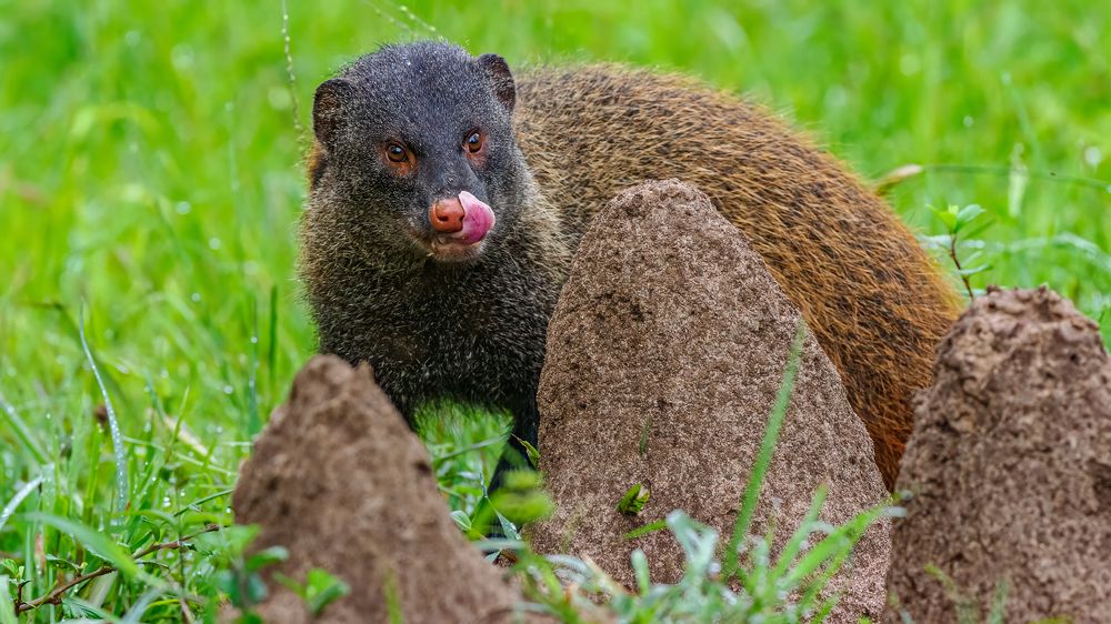 Photograph by Venkat Mangudi