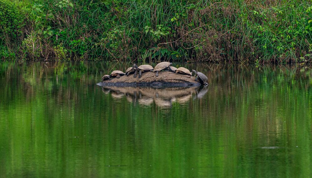 Photograph by Venkat Mangudi