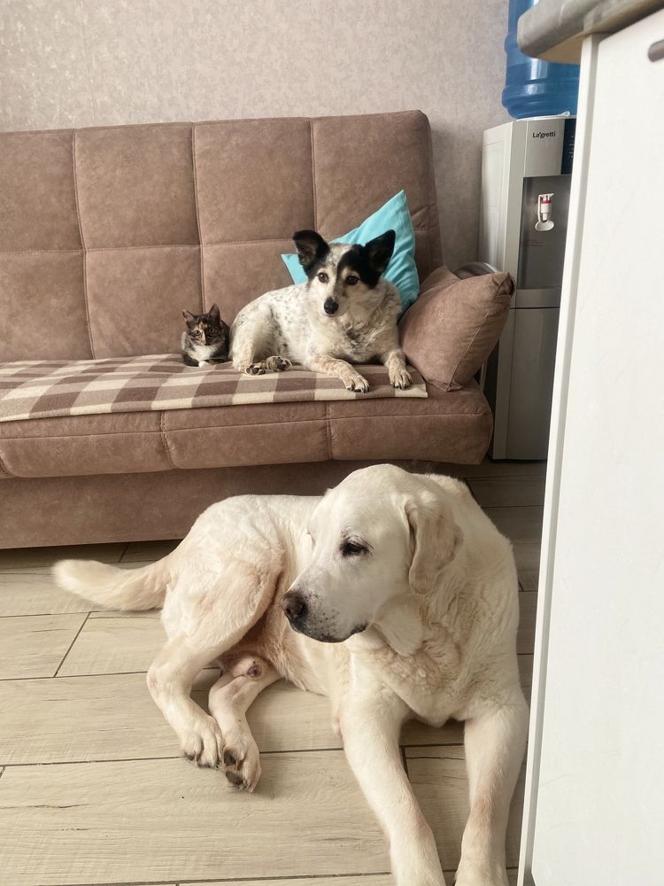 Photograph by Наталья Душакова