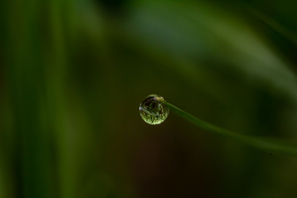 Photograph by Елена Шарапова