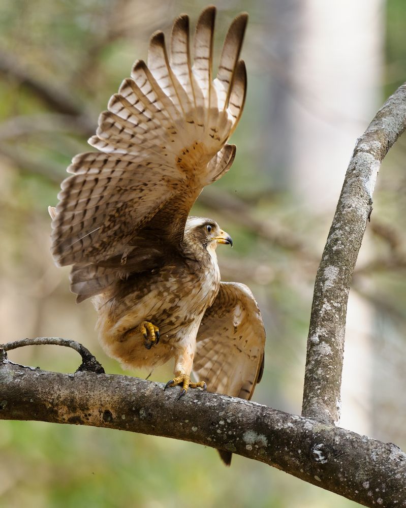 Photograph by Venkat Mangudi