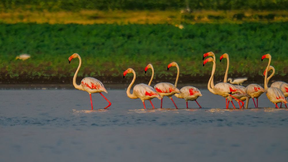 Photograph by Venkat Mangudi