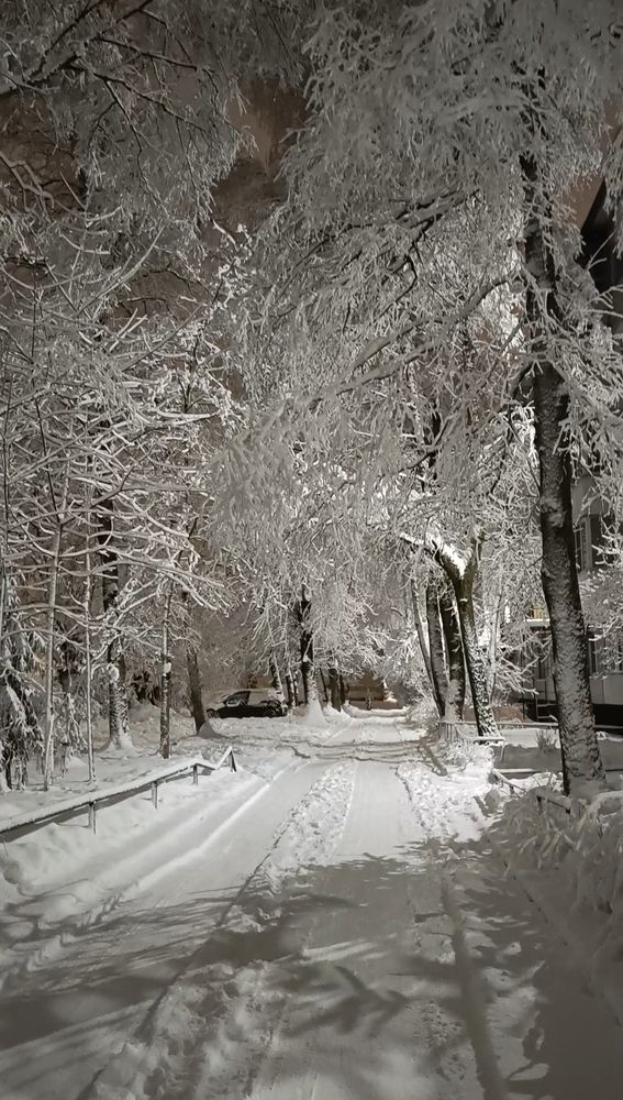 Photograph by Татьяна Смирнова