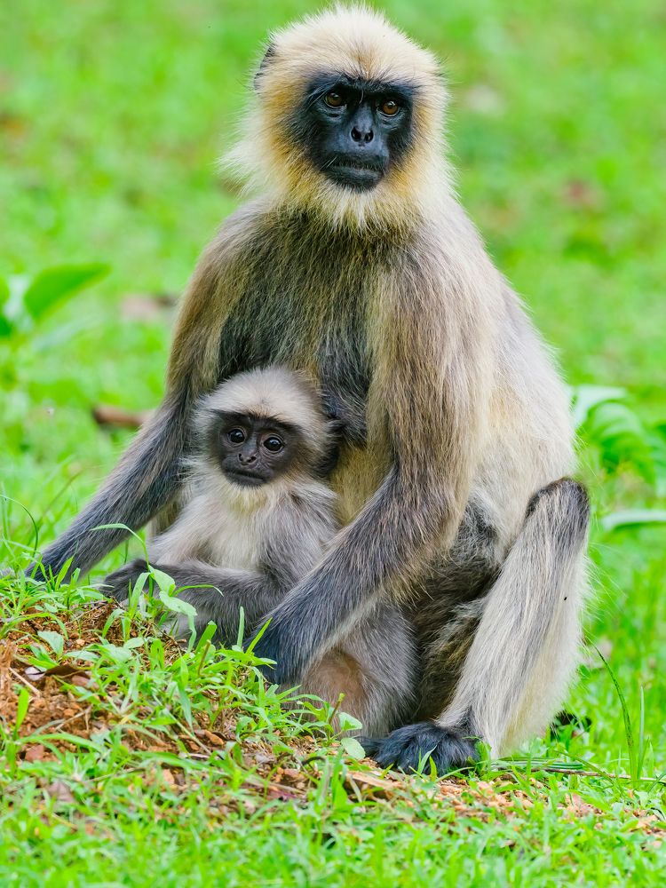 Photograph by Venkat Mangudi