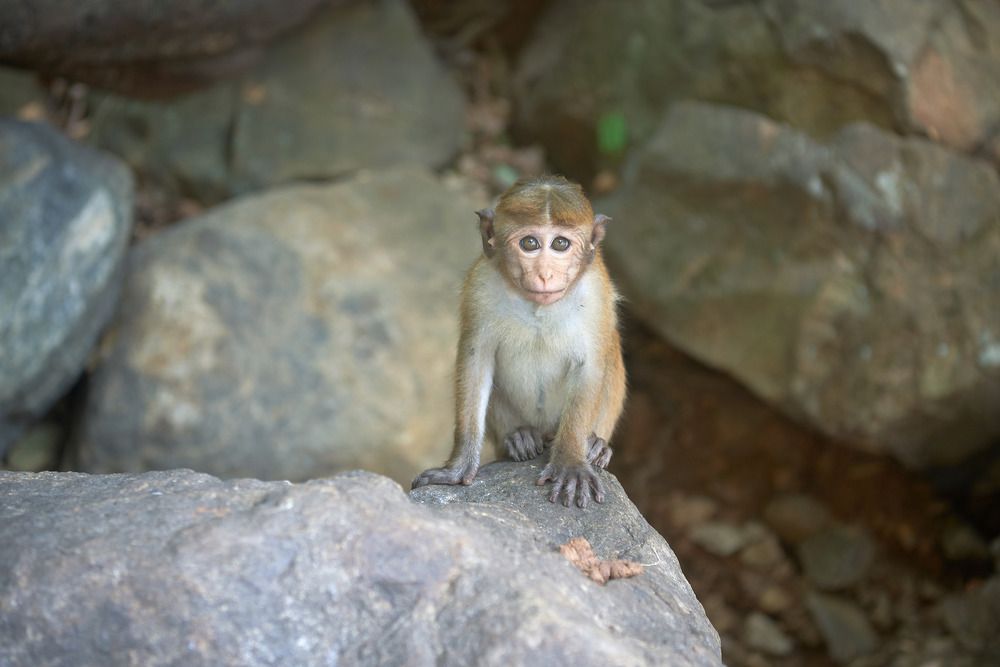 Photograph by Виталий Андросов