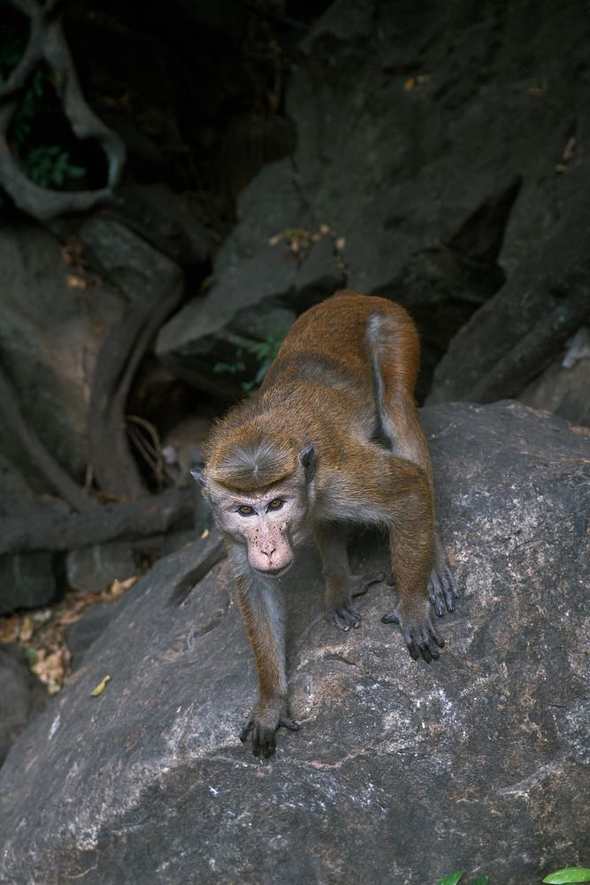 Photograph by Виталий Андросов