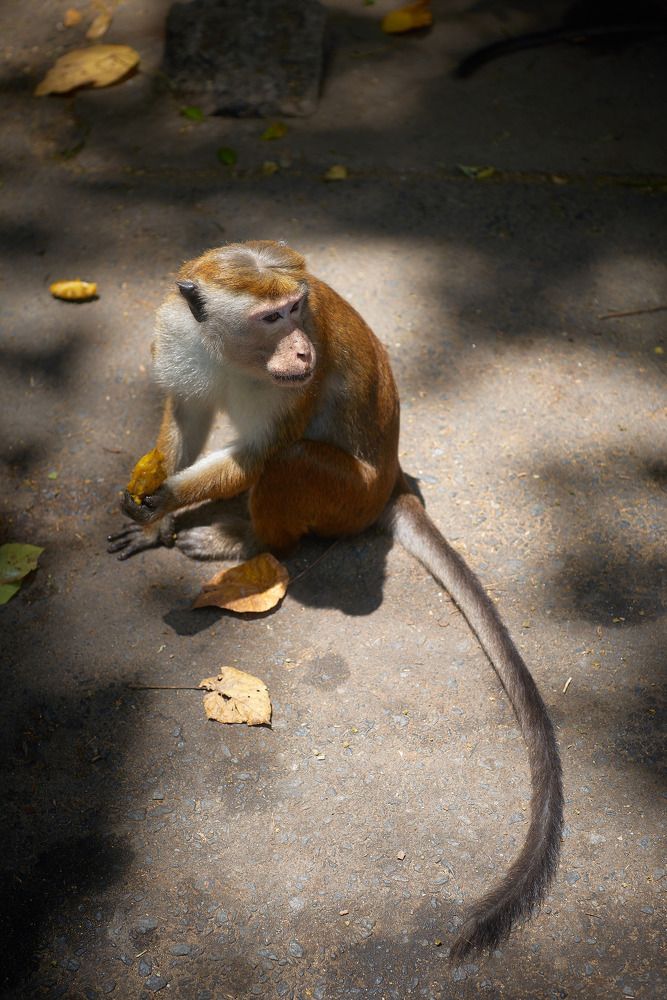 Photograph by Виталий Андросов