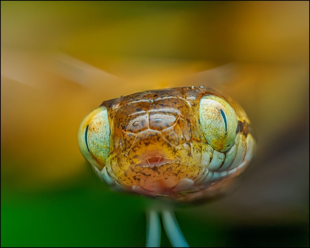 Photograph by Venkat Mangudi