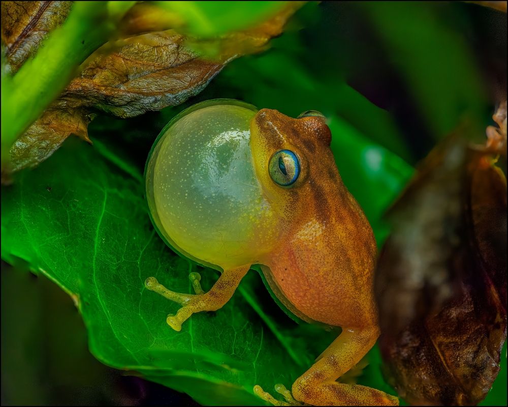 Photograph by Venkat Mangudi