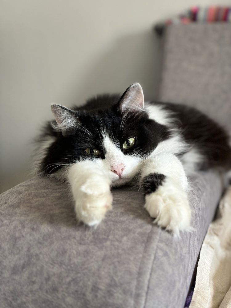 Photograph by Юрий Попов