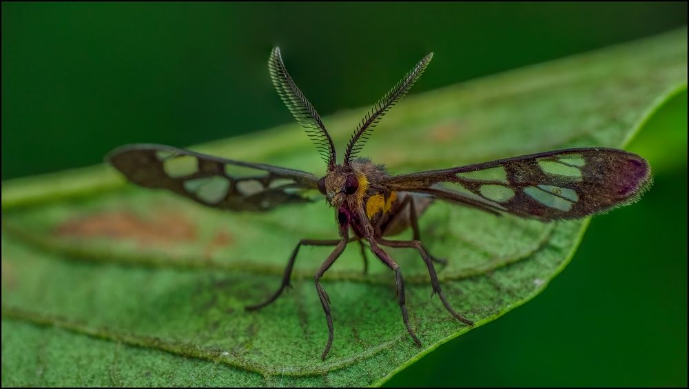 Photograph by Venkat Mangudi