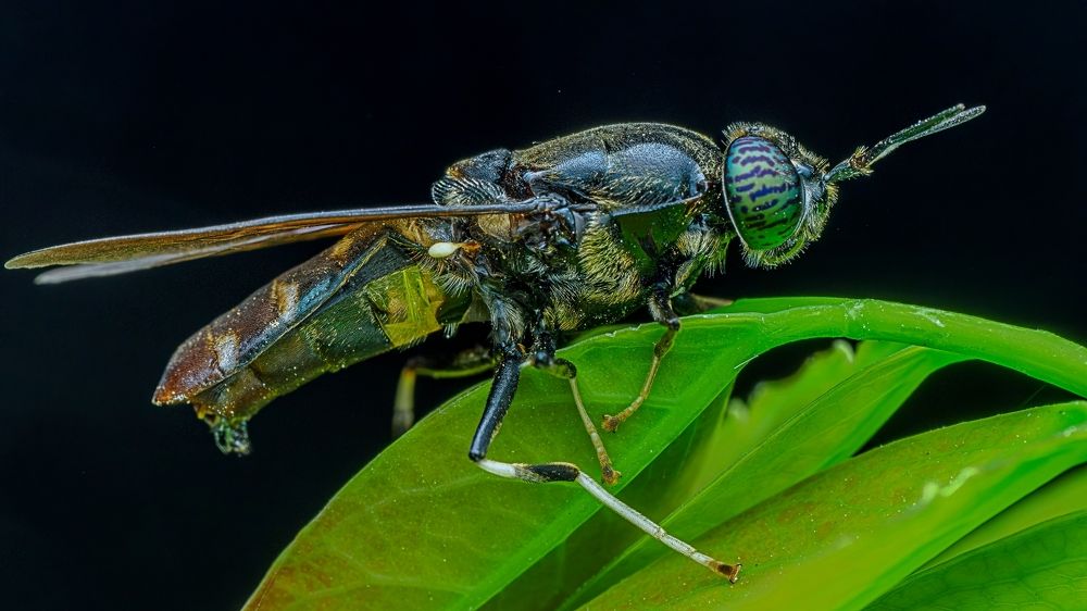 Photograph by Venkat Mangudi