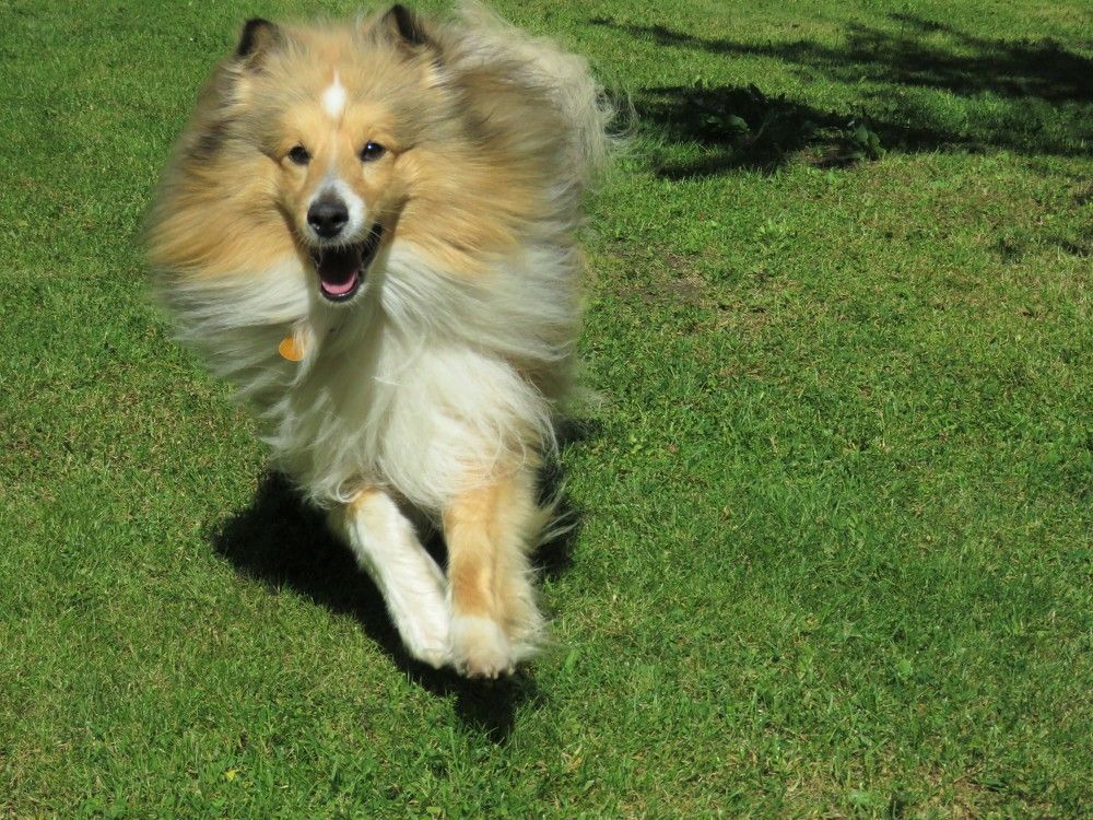 Photograph by Валерия Яскович