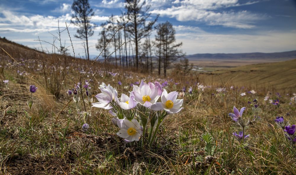 Photograph by Дмитрий Юдин