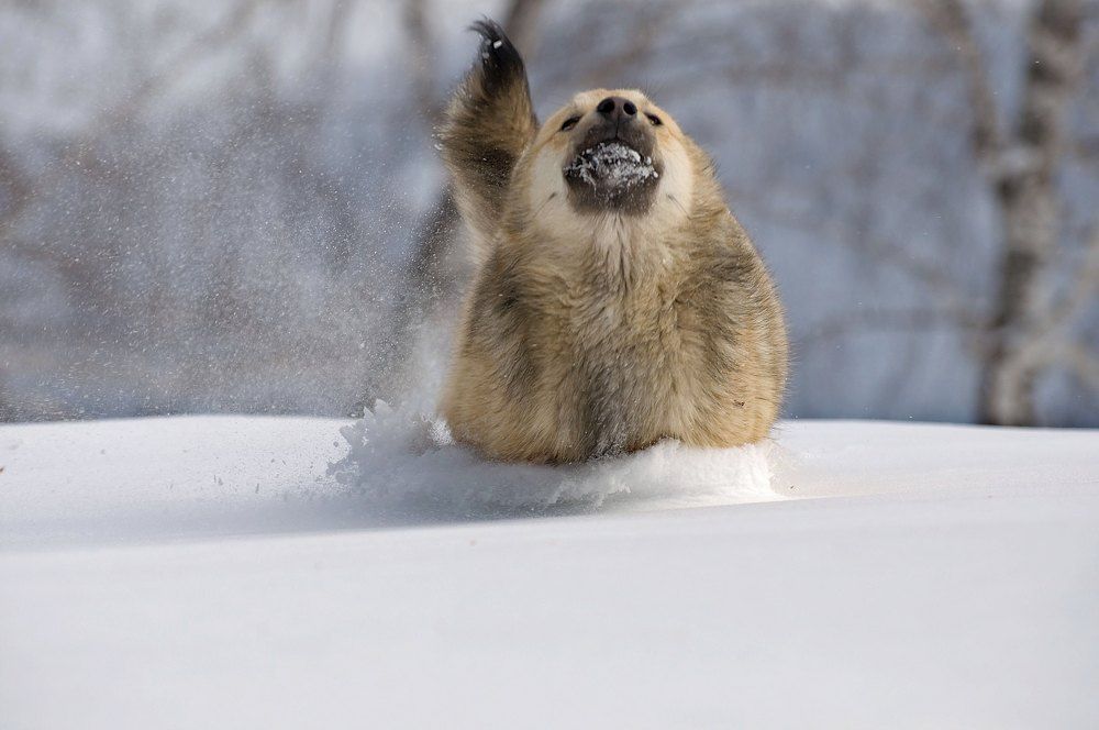 Photograph by Фомина Марина