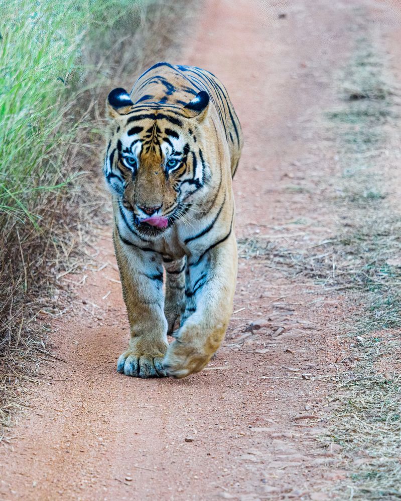 Photograph by Venkat Mangudi