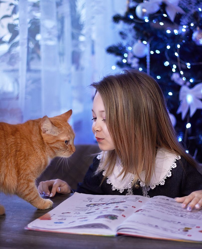 Photograph by Наталья Шевелева