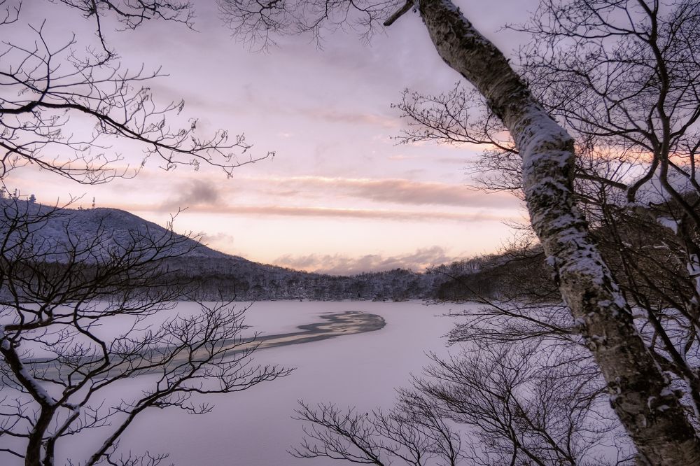 Photograph by Daiyu Moko