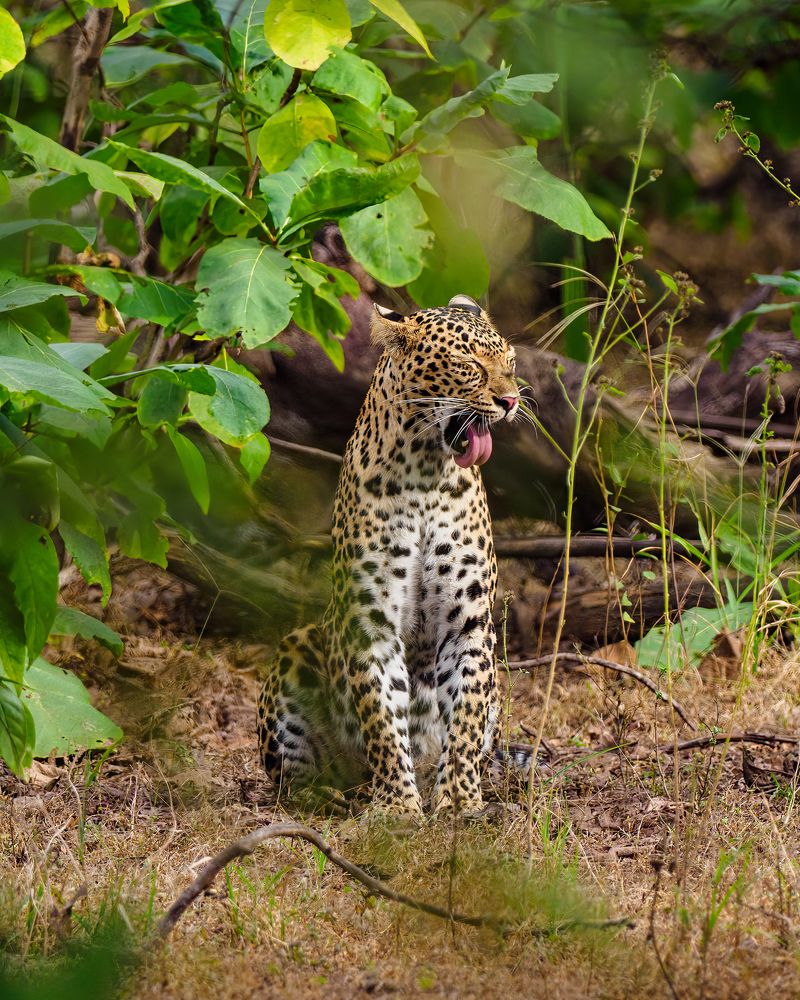 Photograph by Venkat Mangudi