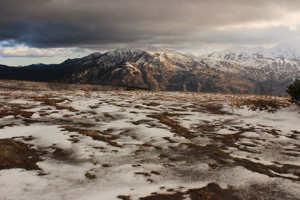 Фотография автора Анастасия Ощепкова