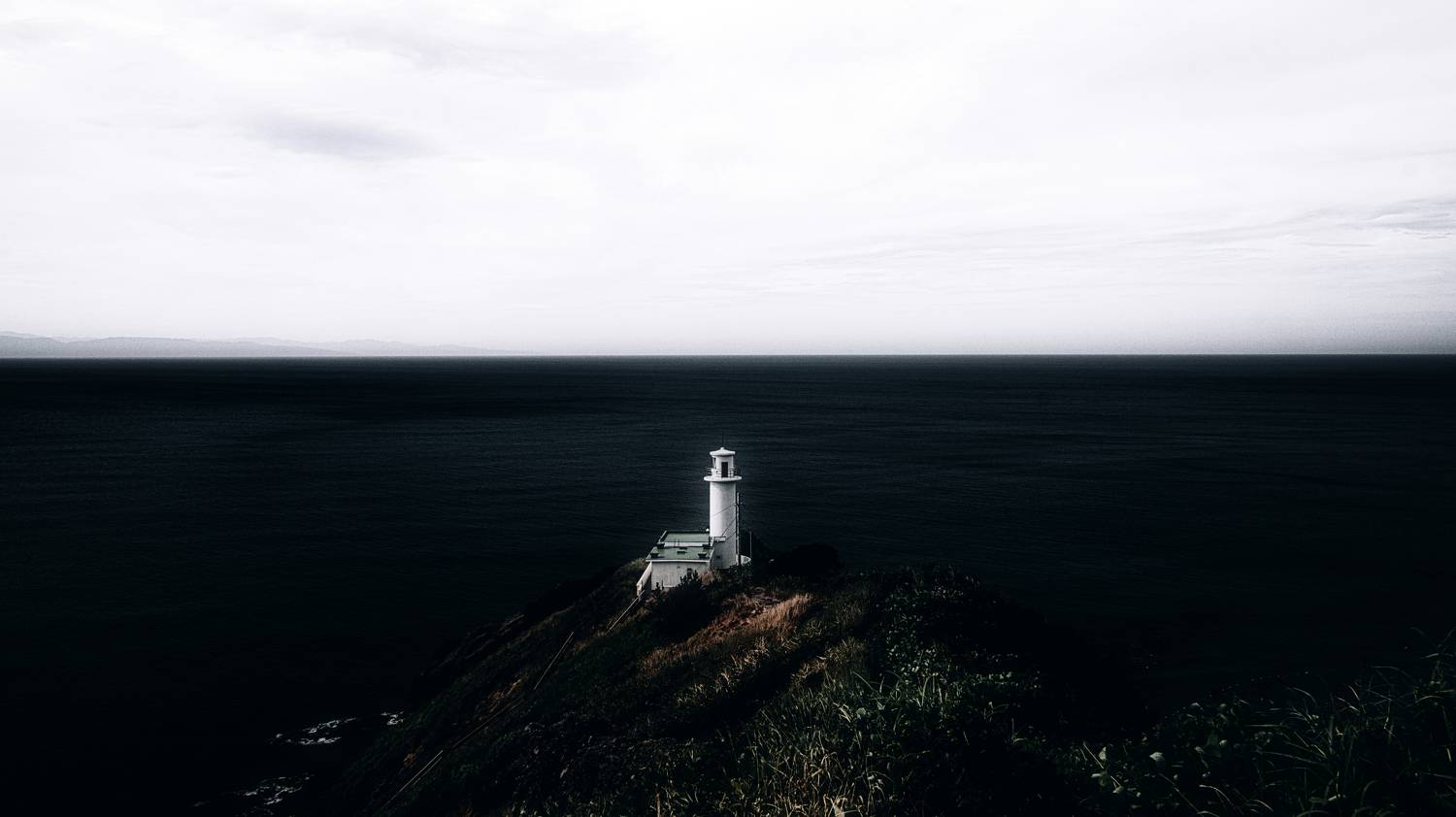 Photo #11730818