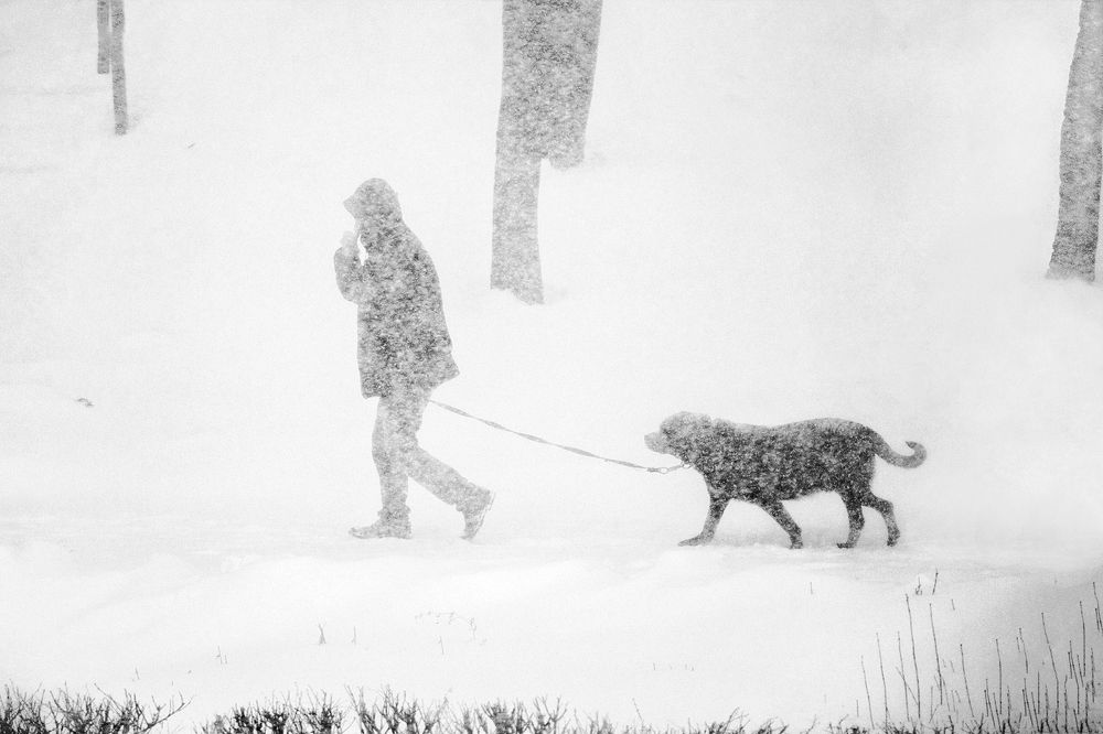 Фотография автора Aleksei Kartashov