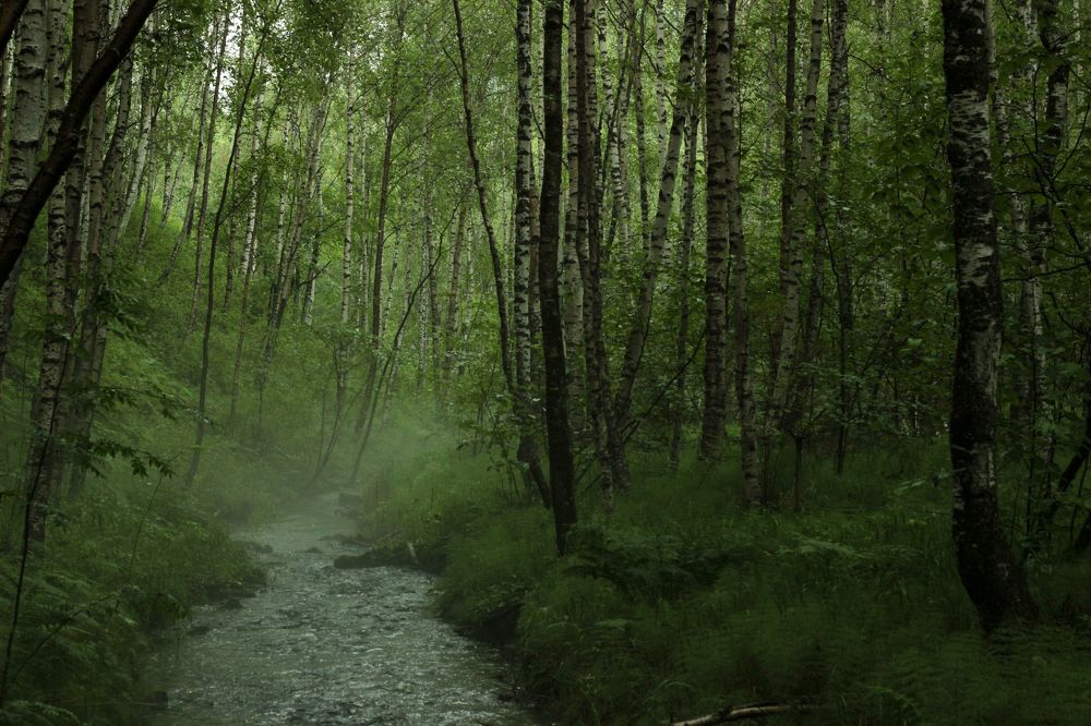 Фотография автора Анастасия Ощепкова