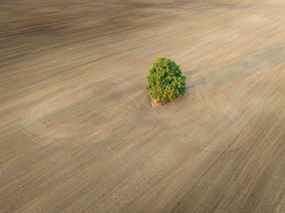 Photograph by Гордон Николай