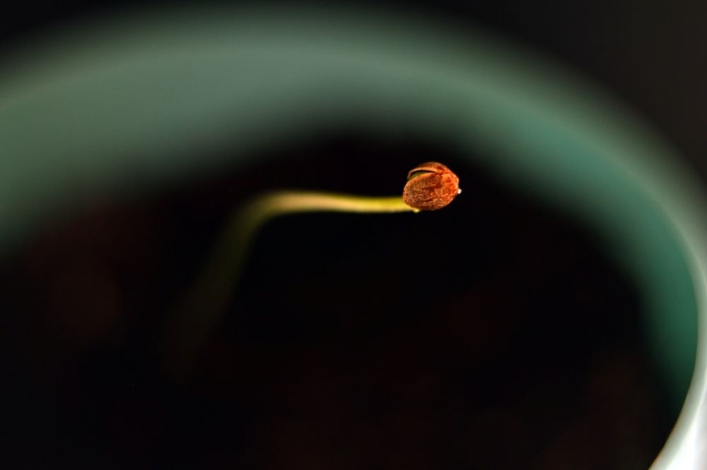 Photograph by Nadezhda