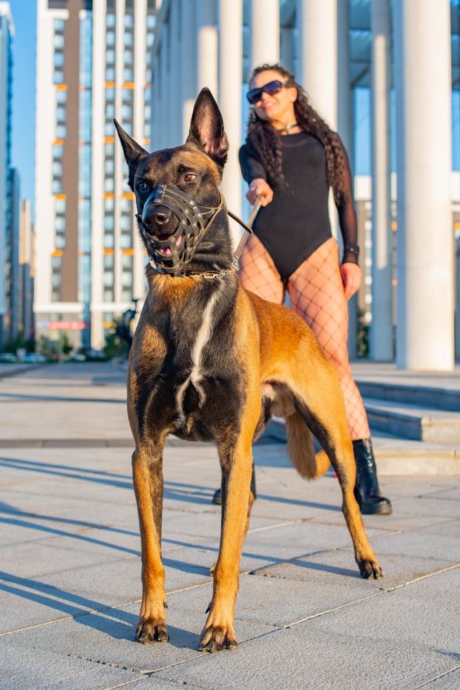 Photograph by Darina