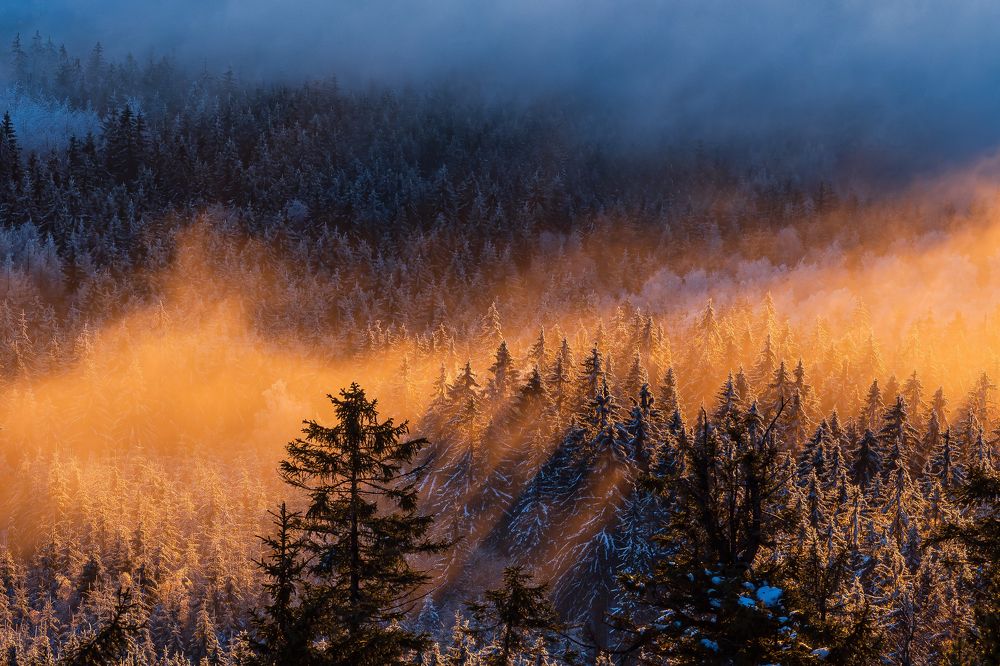 Photograph by Ilona Rosenkrancová