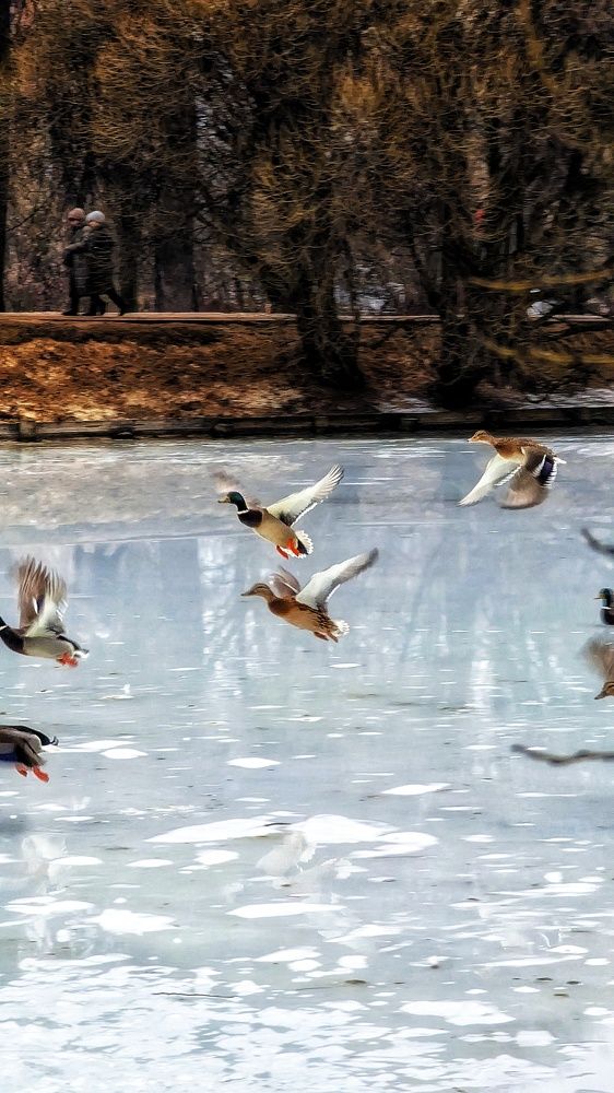 Photograph by Irina Bagdasarova